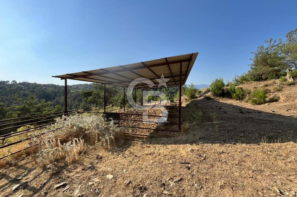 Muğla Kavaklıdere'de Doğa Harikası Arsa!