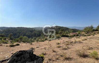 Muğla Kavaklıdere'de Doğa Harikası Arsa!