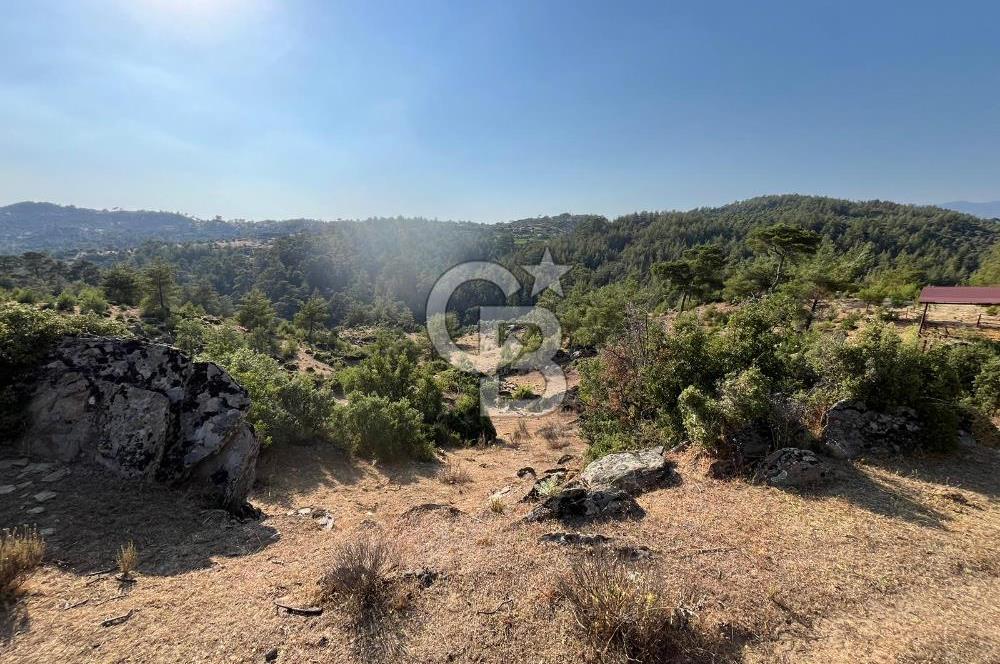 Muğla Kavaklıdere'de Doğa Harikası Arsa!