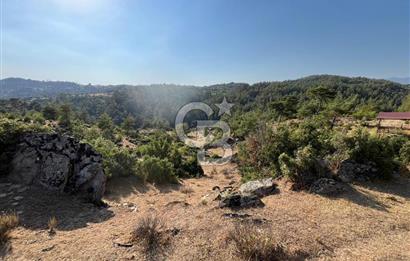 Muğla Kavaklıdere'de Doğa Harikası Arsa!