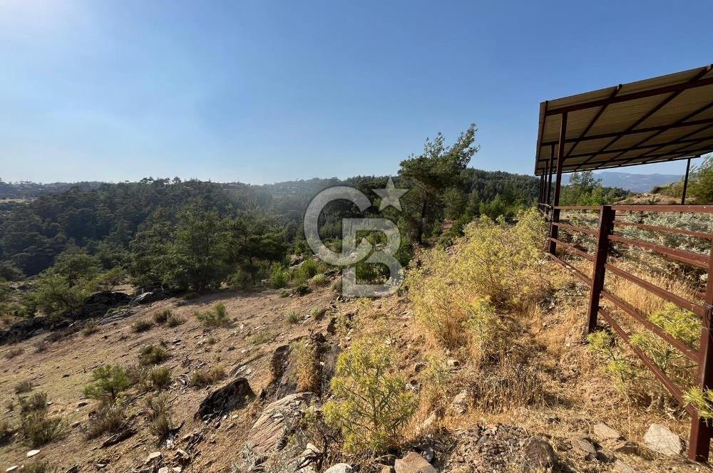 Muğla Kavaklıdere'de Doğa Harikası Arsa!