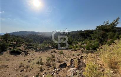Muğla Kavaklıdere'de Doğa Harikası Arsa!