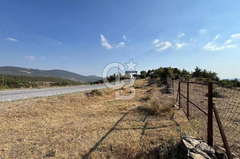 Muğla Kavaklıdere'de Doğa Harikası Arsa!