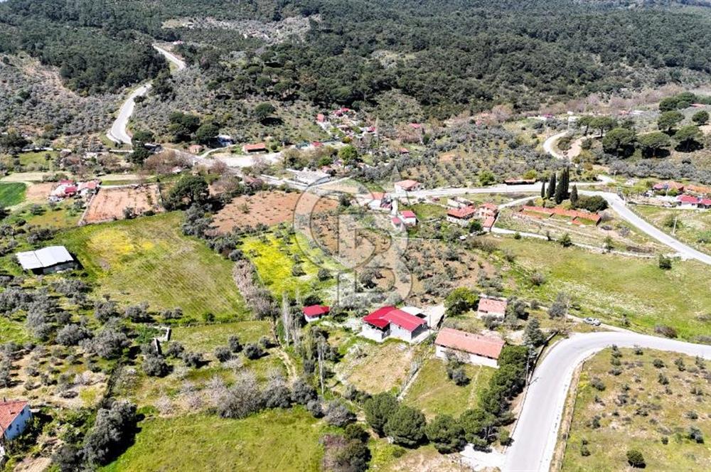 TORBALI ORMANKÖY'DE İÇİNDE 200 m2 EV OLAN SATILIK 7 DÖNÜM TARLA