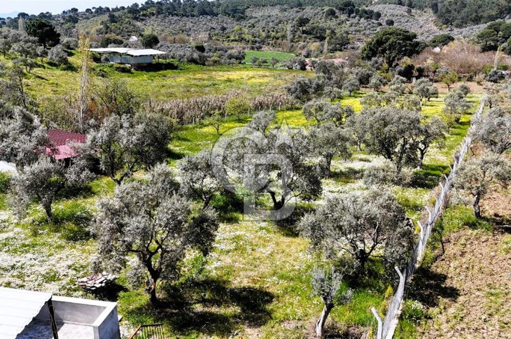 TORBALI ORMANKÖY'DE İÇİNDE 200 m2 EV OLAN SATILIK 7 DÖNÜM TARLA