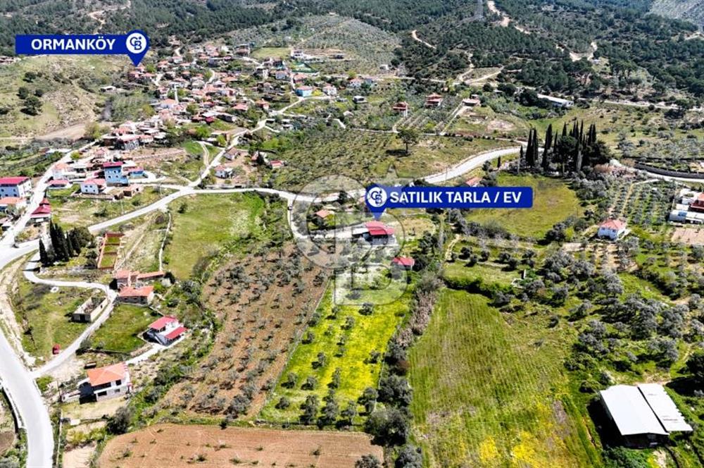 TORBALI ORMANKÖY'DE İÇİNDE 200 m2 EV OLAN SATILIK 7 DÖNÜM TARLA
