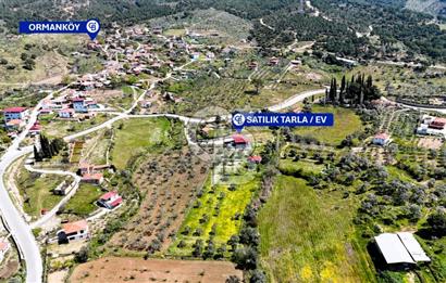TORBALI ORMANKÖY'DE İÇİNDE 200 m2 EV OLAN SATILIK 7 DÖNÜM TARLA