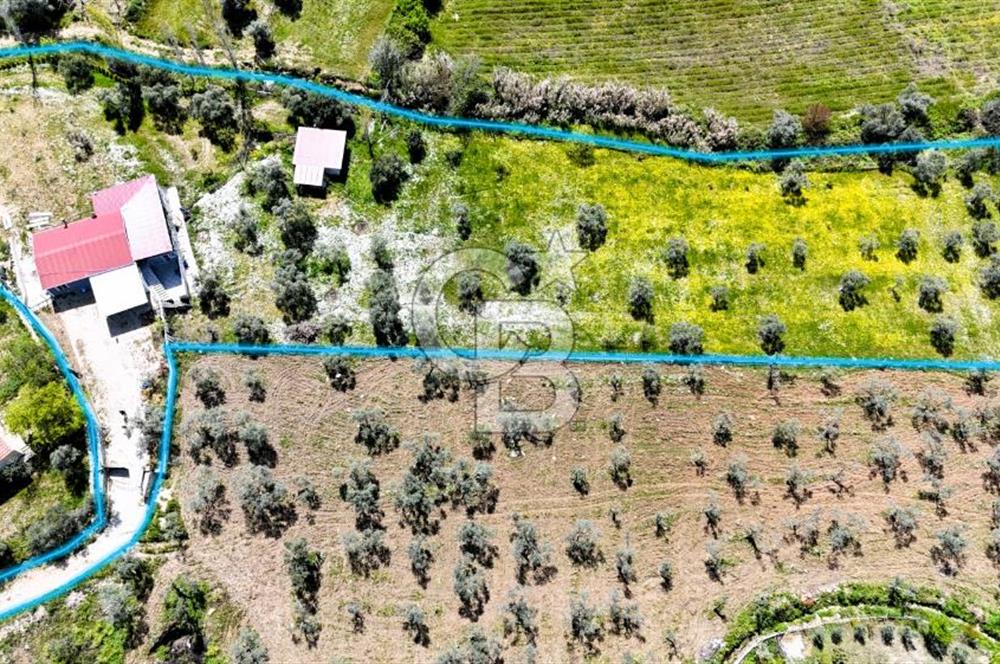 TORBALI ORMANKÖY'DE İÇİNDE 200 m2 EV OLAN SATILIK 7 DÖNÜM TARLA