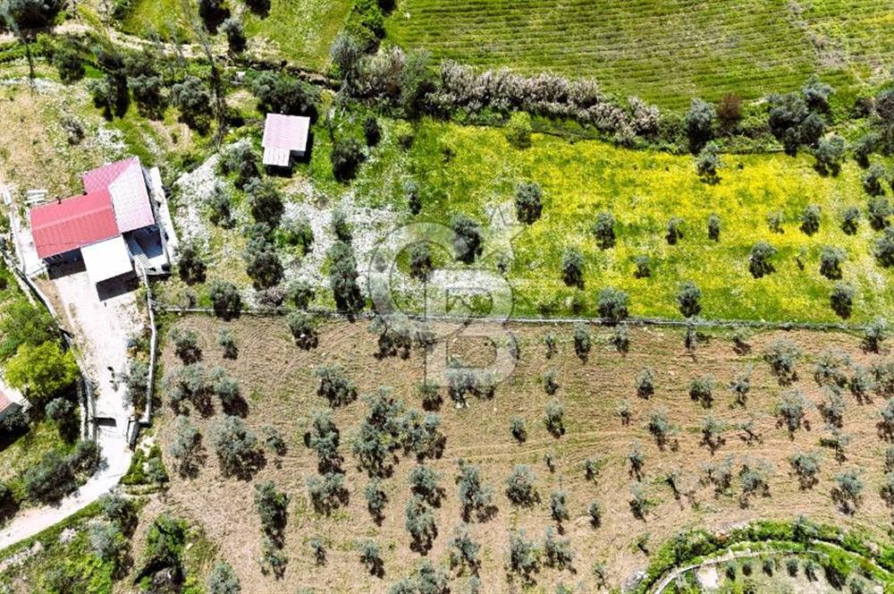 TORBALI ORMANKÖY'DE İÇİNDE 200 m2 EV OLAN SATILIK 7 DÖNÜM TARLA