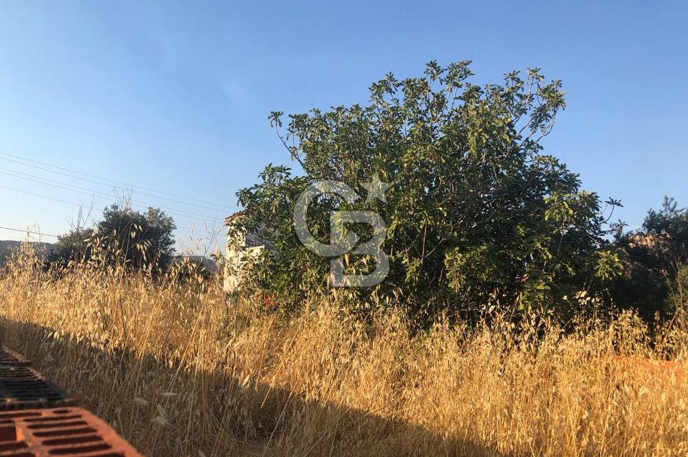 BAYINDIR ARIKBAŞI DA SATILIK 357 M2 YOLA CEPHELİ BAHÇE 