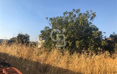 BAYINDIR ARIKBAŞI DA SATILIK 357 M2 YOLA CEPHELİ BAHÇE 