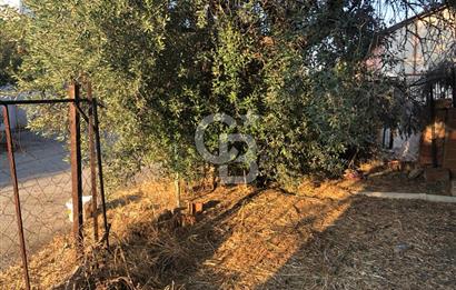 BAYINDIR ARIKBAŞI DA SATILIK 357 M2 YOLA CEPHELİ BAHÇE 