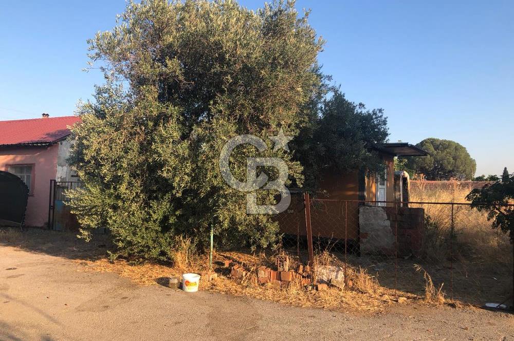 BAYINDIR ARIKBAŞI DA SATILIK 357 M2 YOLA CEPHELİ BAHÇE 