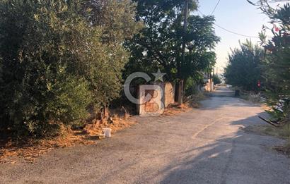 BAYINDIR ARIKBAŞI DA SATILIK 357 M2 YOLA CEPHELİ BAHÇE 
