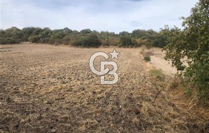 CB KiNG'DEN MANYAS SÜLEYMANLI MAH'DE SATILIK 7022 M2 TARLA