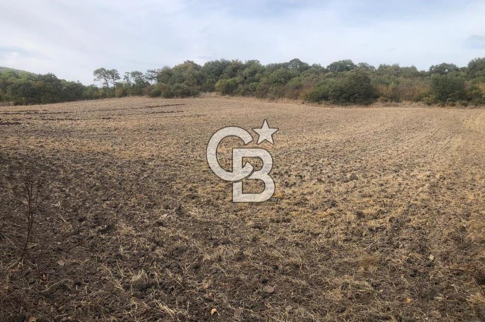CB KiNG'DEN MANYAS SÜLEYMANLI MAH'DE SATILIK 7022 M2 TARLA