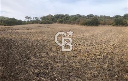 CB KiNG'DEN MANYAS SÜLEYMANLI MAH'DE SATILIK 7022 M2 TARLA