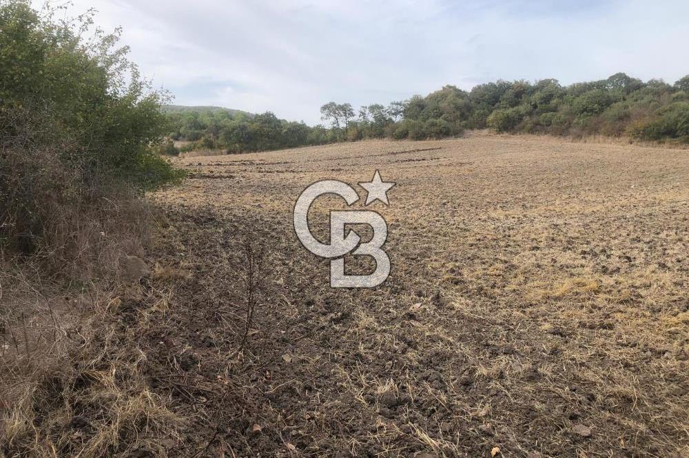 CB KiNG'DEN MANYAS SÜLEYMANLI MAH'DE SATILIK 7022 M2 TARLA
