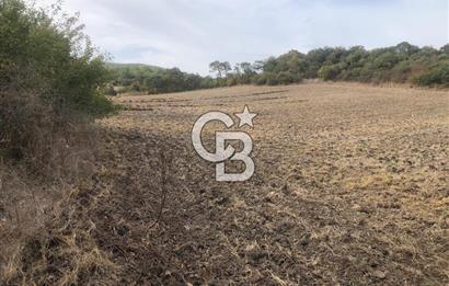 CB KiNG'DEN MANYAS SÜLEYMANLI MAH'DE SATILIK 7022 M2 TARLA