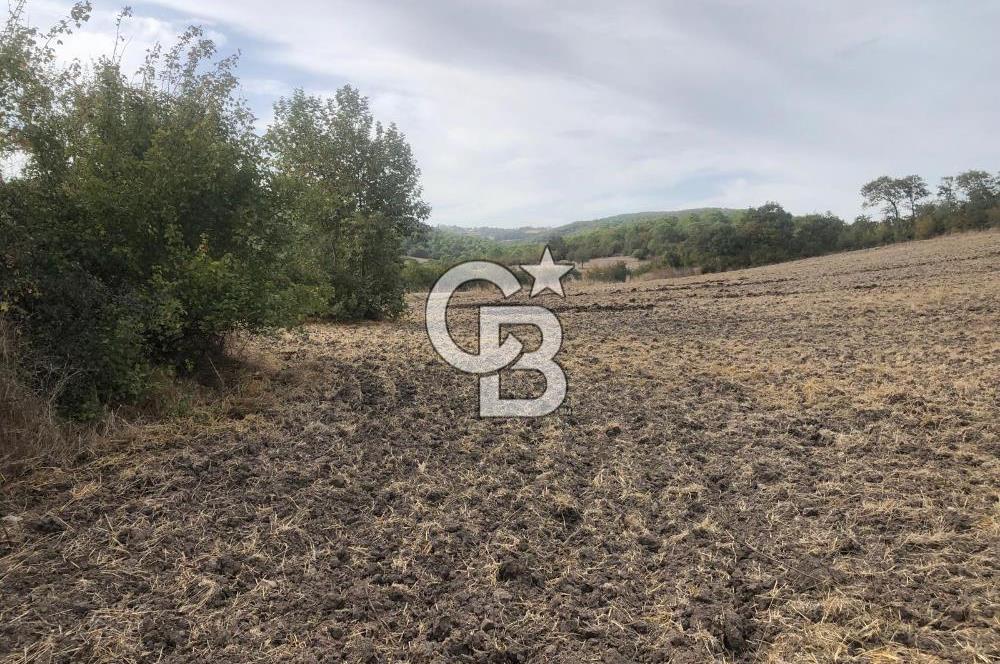 CB KiNG'DEN MANYAS SÜLEYMANLI MAH'DE SATILIK 7022 M2 TARLA