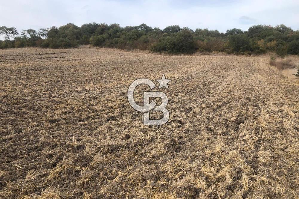 CB KiNG'DEN MANYAS SÜLEYMANLI MAH'DE SATILIK 7022 M2 TARLA