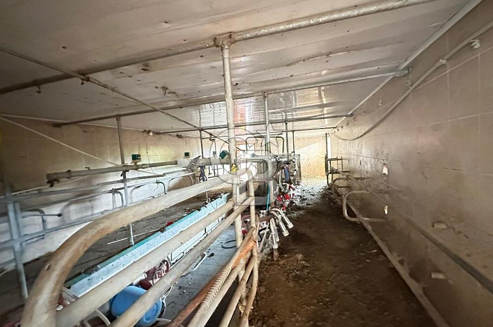 TURGUTLU 1.MINTIKA'DA SATILIK 26.350 M2 BÜYÜKBAŞ ÇİFTLİĞİ