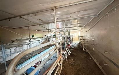 TURGUTLU 1.MINTIKA'DA SATILIK 26.350 M2 BÜYÜKBAŞ ÇİFTLİĞİ