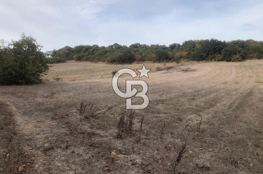 CB KiNG'DEN MANYAS SÜLEYMANLI MAH'DE SATILIK 7022 M2 TARLA