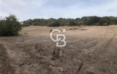 CB KiNG'DEN MANYAS SÜLEYMANLI MAH'DE SATILIK 7022 M2 TARLA