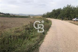 CB KiNG'DEN MANYAS SÜLEYMANLI MAH'DE SATILIK 7022 M2 TARLA
