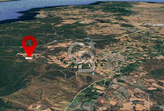 ÇANAKKALE LAPSEKİ DİŞBUDAK KÖYÜNDE SATILIK ARAZİ 