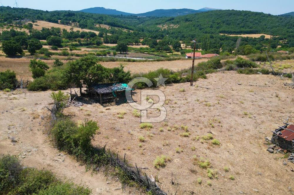 Çanakkale Merkez Kocalar Köyü'nde 572 m² İmarlı Köy İçi Arsa Fırsatı!