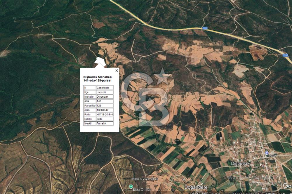 ÇANAKKALE LAPSEKİ DİŞBUDAK KÖYÜNDE SATILIK ARAZİ 