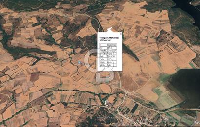 ÇANAKKALE BİGA ÇELİKGÜRÜ KÖYÜNDE SATILIK ARAZİ