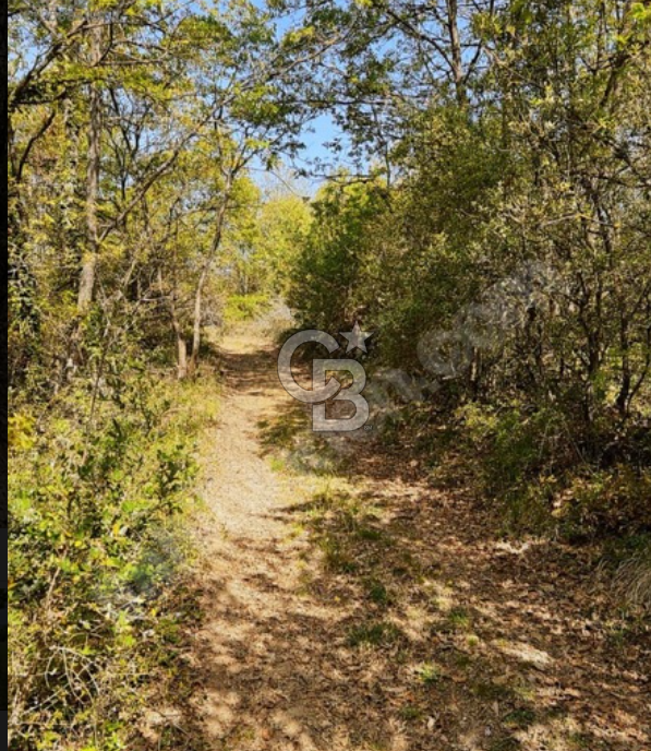 BURSA YENİŞEHİR REŞADİYE TEK TAPU 5000 M2 DOĞA DA ARSA