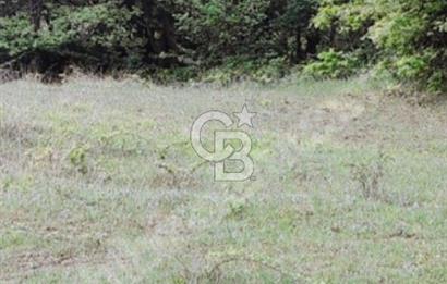 BURSA YENİŞEHİR REŞADİYE TEK TAPU 5000 M2 DOĞA DA ARSA