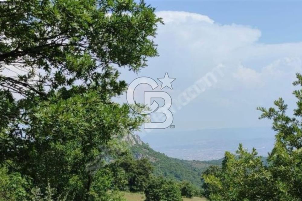 BURSA YENİŞEHİR REŞADİYE TEK TAPU 5000 M2 DOĞA DA ARSA