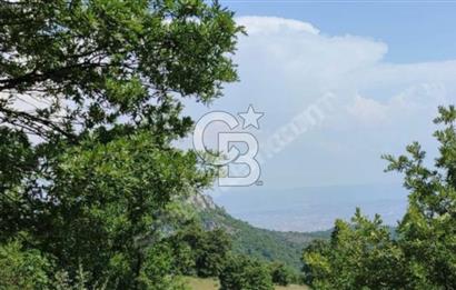 BURSA YENİŞEHİR REŞADİYE TEK TAPU 5000 M2 DOĞA DA ARSA