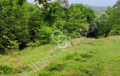 BURSA YENİŞEHİR REŞADİYE TEK TAPU 5000 M2 DOĞA DA ARSA