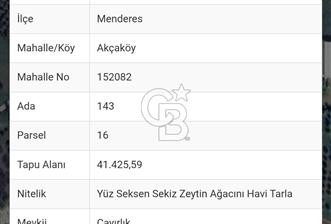 İZMİR MENDERES AKÇAKÖY'DE ZEYTİNLİK