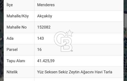 İZMİR MENDERES AKÇAKÖY'DE ZEYTİNLİK