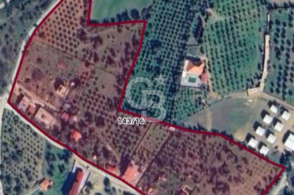İZMİR MENDERES AKÇAKÖY'DE ZEYTİNLİK