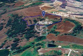 CB KiNG'DEN KADASTRAL YOLU OLAN SATILIK 20 DÖNÜM TARLA