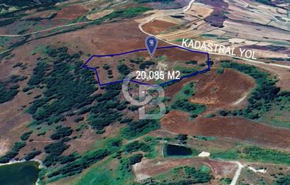 CB KiNG'DEN KADASTRAL YOLU OLAN SATILIK 20 DÖNÜM TARLA