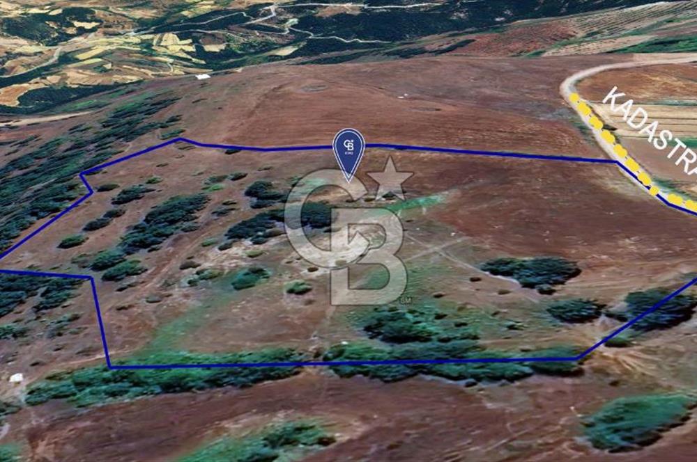 CB KiNG'DEN KADASTRAL YOLU OLAN SATILIK 20 DÖNÜM TARLA