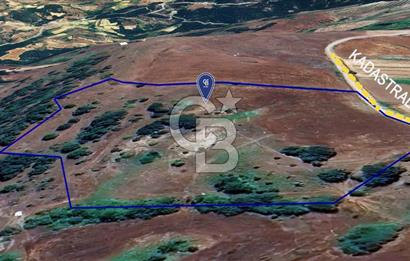 CB KiNG'DEN KADASTRAL YOLU OLAN SATILIK 20 DÖNÜM TARLA