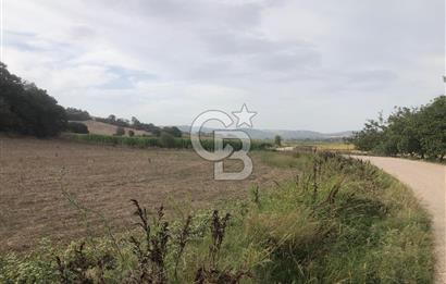 CB KiNG'DEN BALIKESİR MANYAS DURA MAH.ASFALT CEPHE SATILIK TARLA
