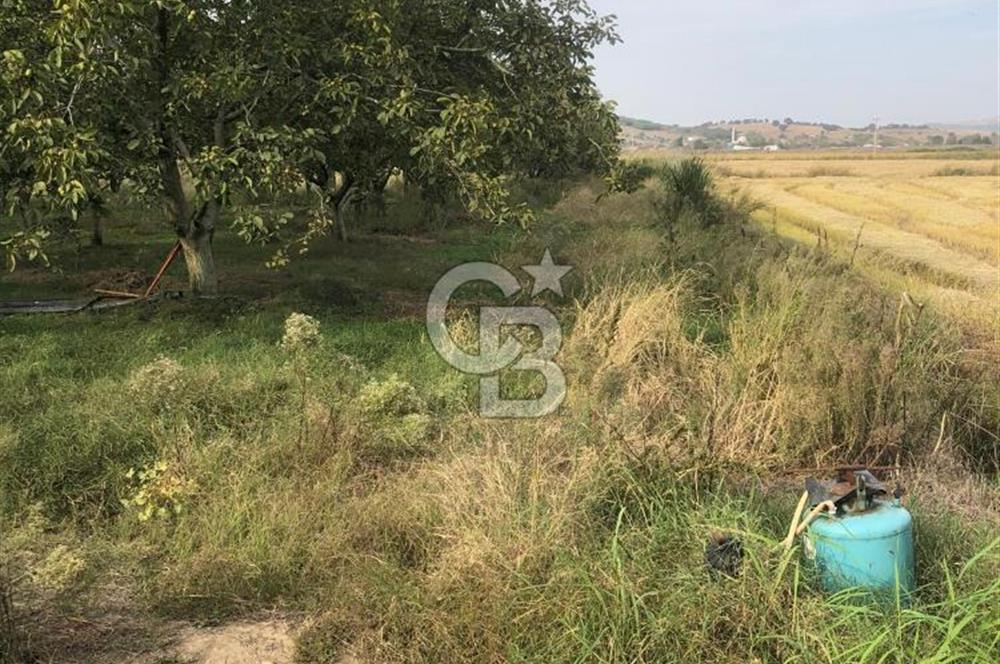 CB KiNG'DEN BALIKESİR MANYAS DURA MAH.ASFALT CEPHE SATILIK TARLA
