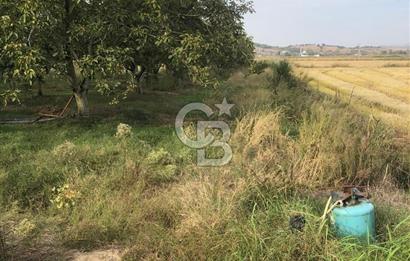 CB KiNG'DEN BALIKESİR MANYAS DURA MAH.ASFALT CEPHE SATILIK TARLA