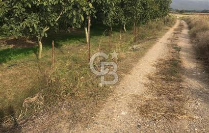 CB KiNG'DEN BALIKESİR MANYAS DURA MAH.ASFALT CEPHE SATILIK TARLA